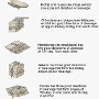cleavage_illustration_chart3.jpg