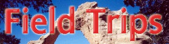 Virtual Fieldtrip Button