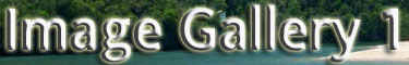 Image Gallery #1 Button