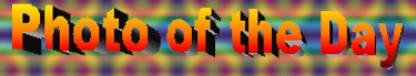 Photo of the Day Button